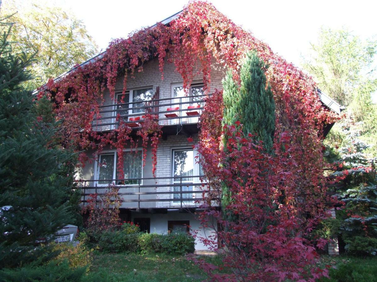 Pokoje I Apartamenty Przy Sosnowej Poddąbie Exteriér fotografie
